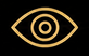 Vision